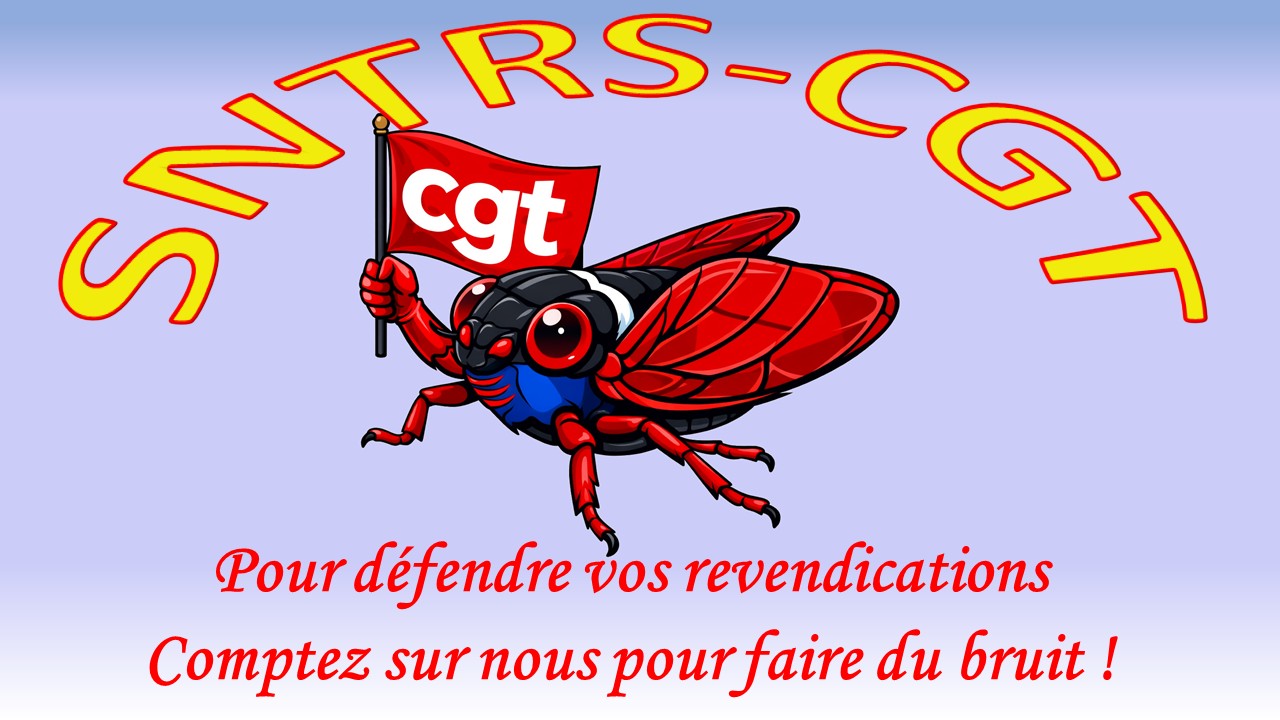 cigale drapeau test fond bleu